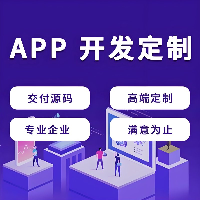 上海网络公司的首席执行官——陈舒婷
